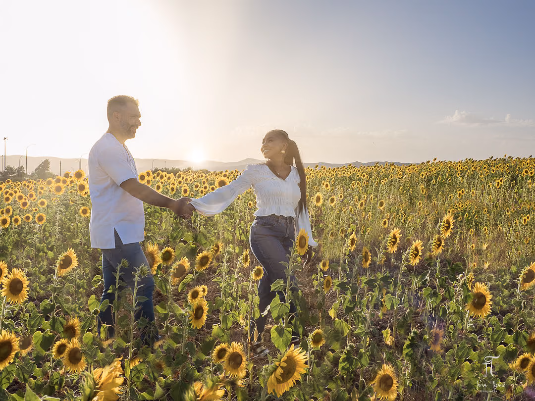 Pablo and Seraphine facing each other in a sunflower field, the sun low on the horizon between them.